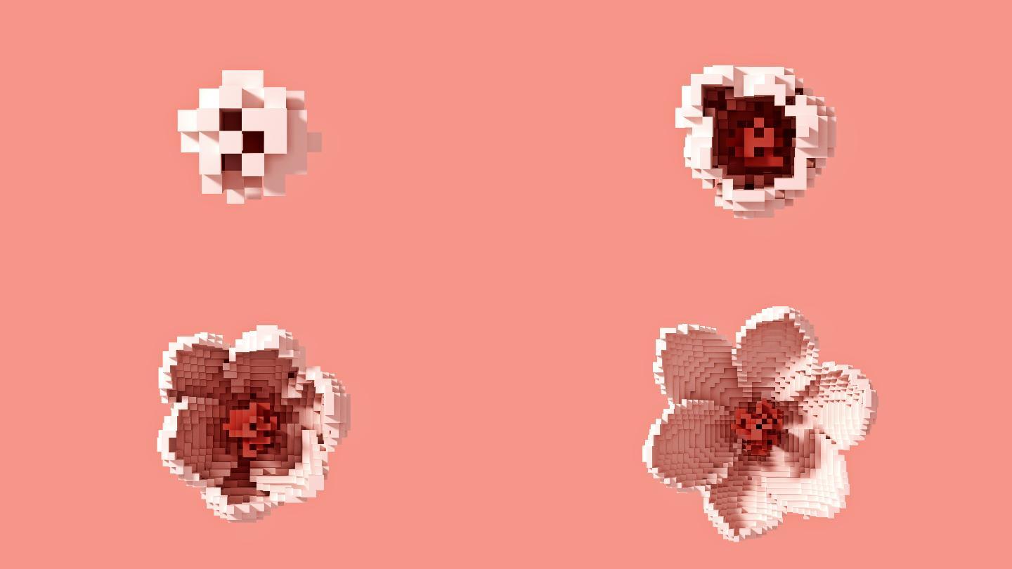 将3D像素转换为数码花朵。