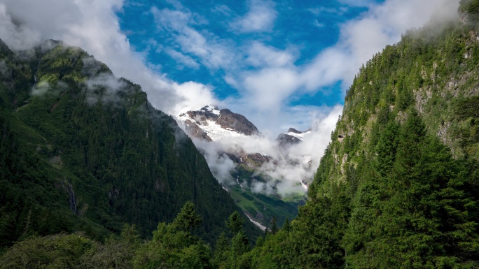 雪山下的原始森林云雾溪流