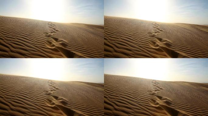 撒哈拉沙漠沙漠脚步脚印风吹沙粒大漠