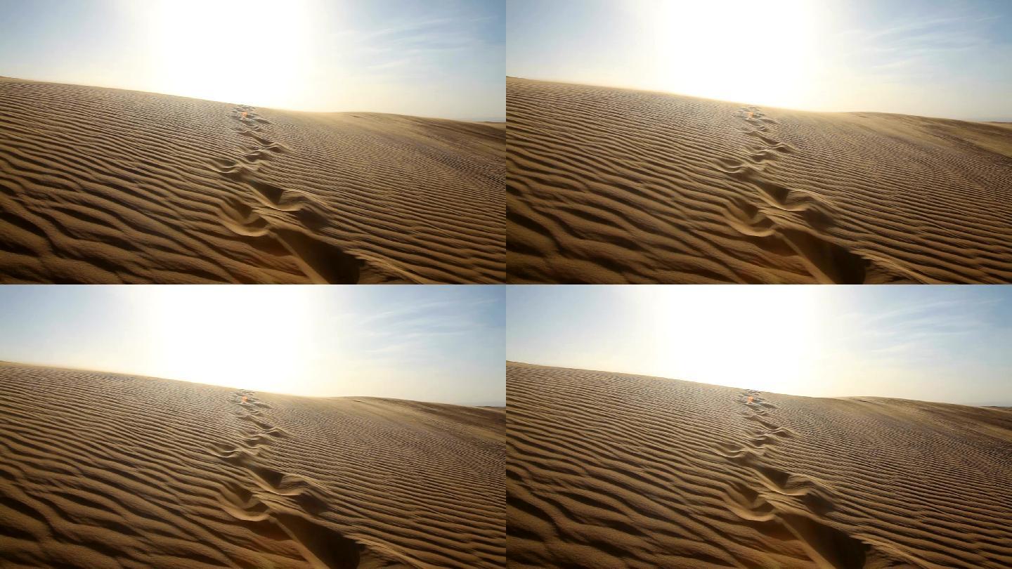 撒哈拉沙漠沙漠脚步脚印风吹沙粒大漠