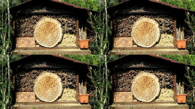 野生蜜蜂农业发展林下经济蜂房蜂箱