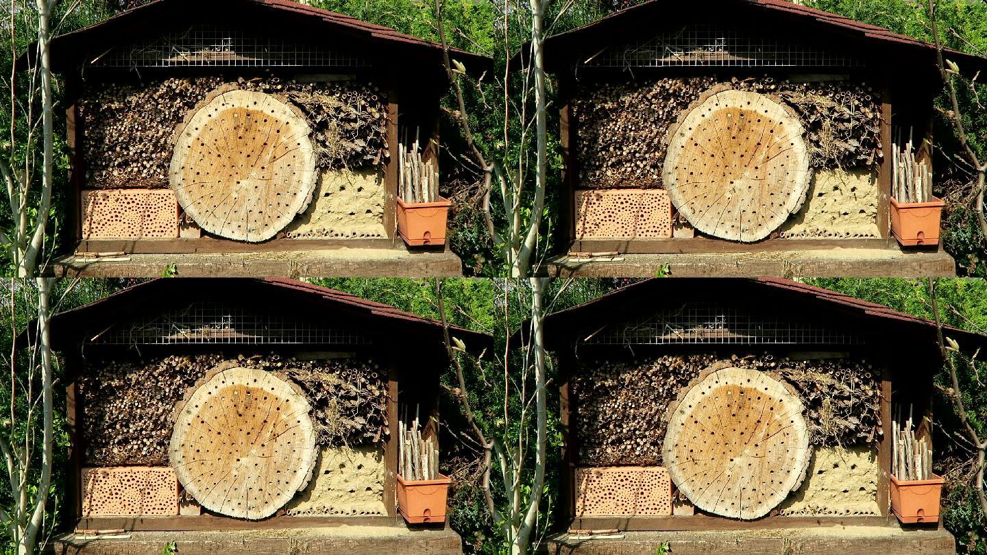 野生蜜蜂农业发展林下经济蜂房蜂箱