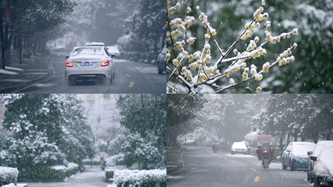 下雪升格慢动作雪花