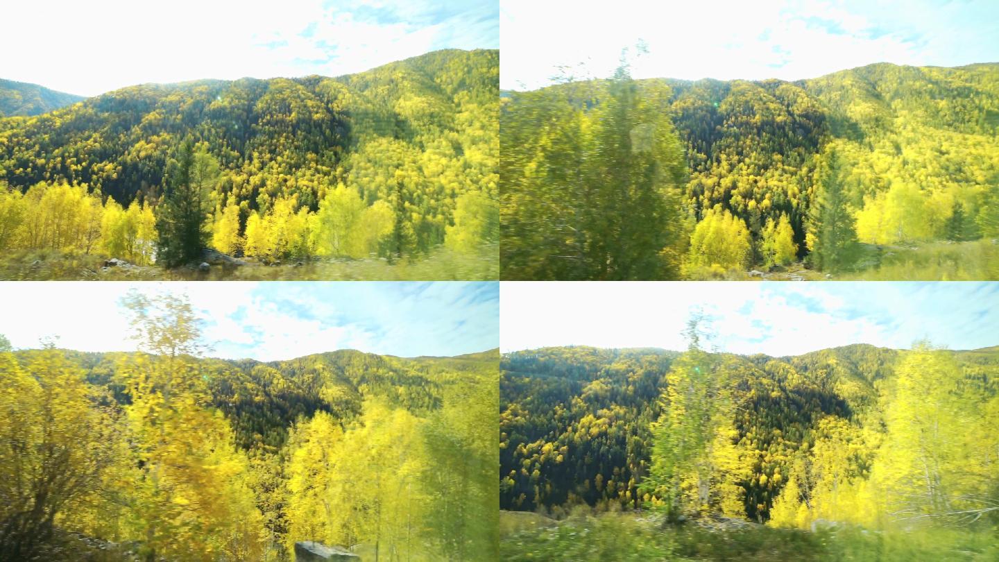新疆美丽的秋色风光