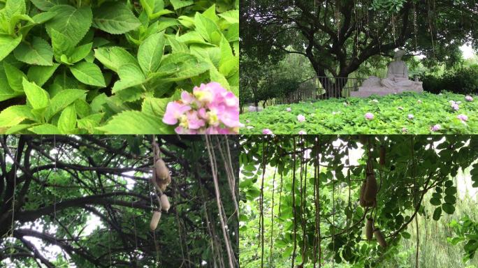 城市公园 生态环境 雕像