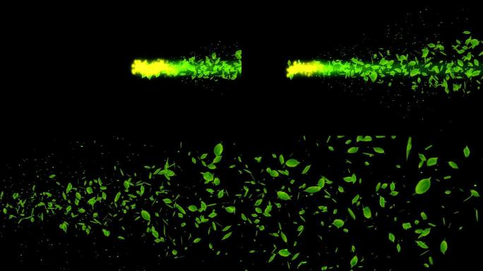 黑色背景中的绿色落叶