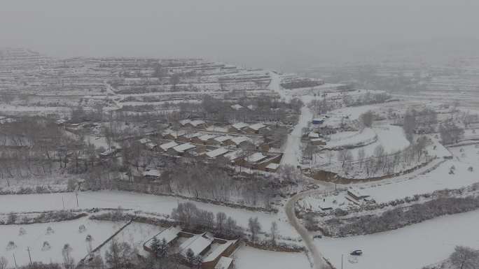 雪中村庄