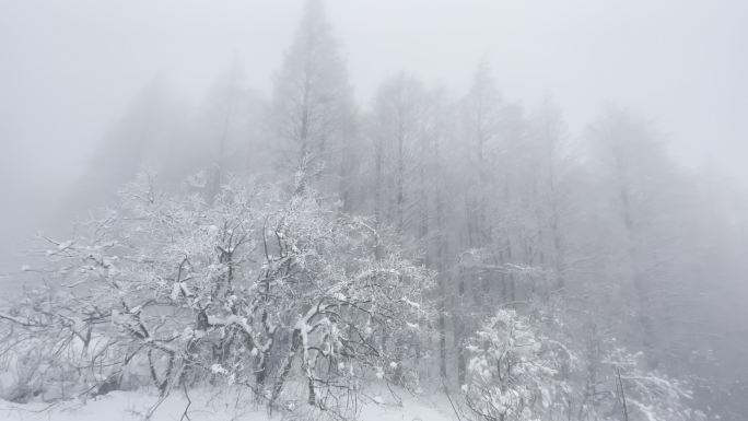 江南浙江冬天寒潮冷空气倒春寒冰凌雾凇奇观