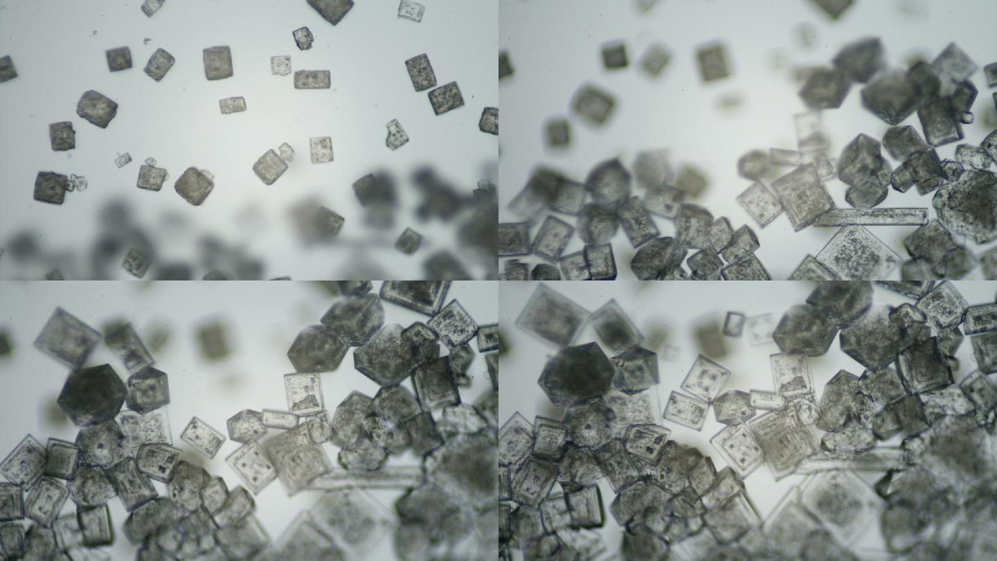 盐在显微镜下结晶