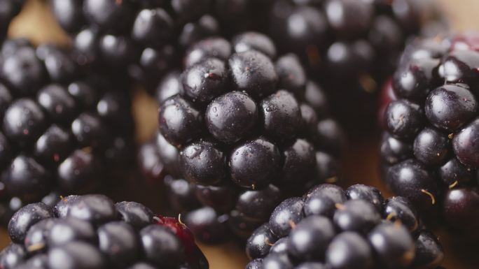 新鲜采摘的黑莓农业种植蔓越莓覆盆子