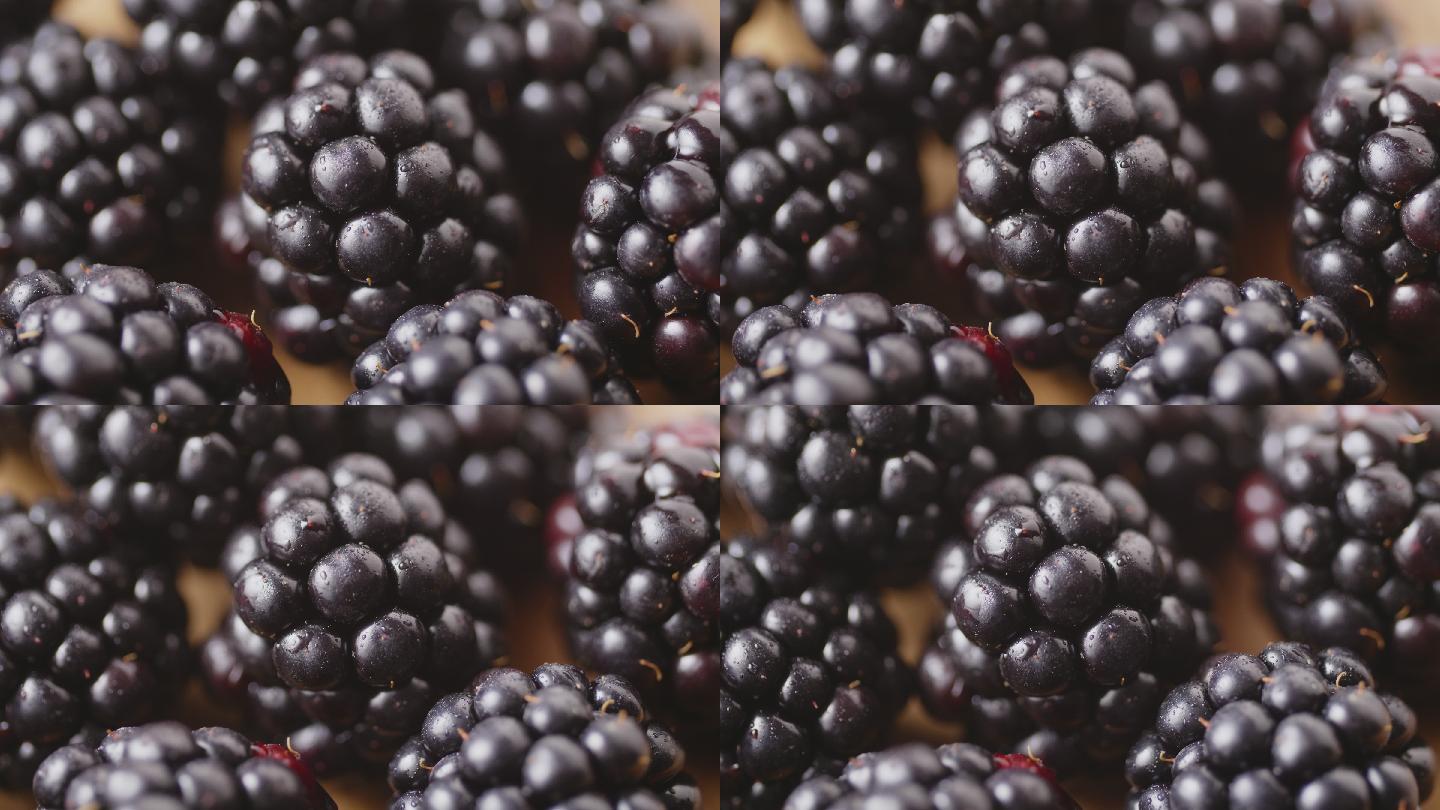 新鲜采摘的黑莓农业种植蔓越莓覆盆子