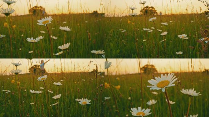 女人在一片长满雏菊的草地上奔跑