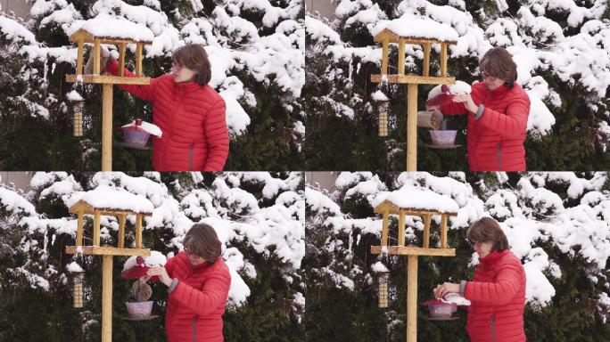 在冬季，女人在鸟类喂食器投食喂野鸟
