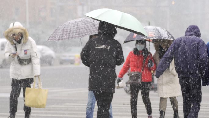 下雪天斑马线上的行人路人