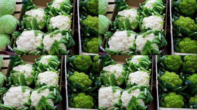 各种新鲜蔬菜实拍展示菜市场农产品