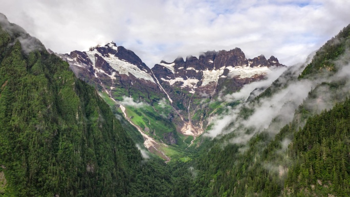 雨崩村雪山森林云雾风光