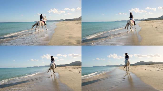 海滩上骑马的女子海边奔跑马旅行风光背影度