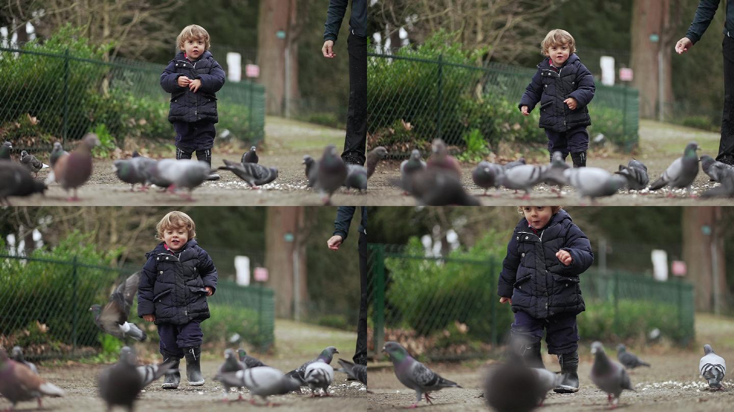 小孩在公园里追鸽子