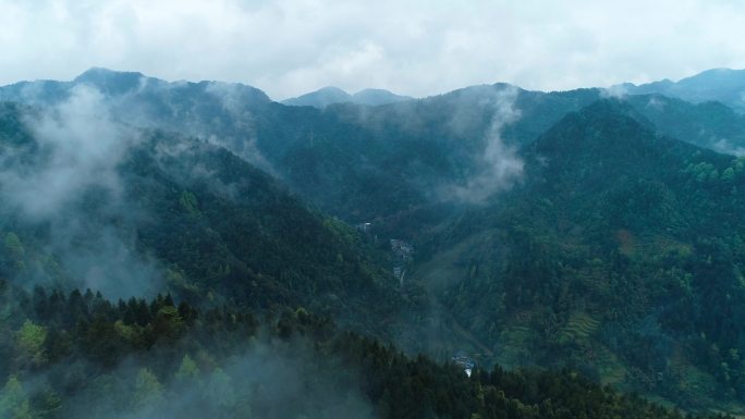 4k航拍云雾森林清晨乡村山区