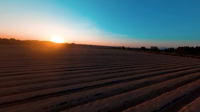 日落追逐无人机FPV航拍空旷田野落日夕阳