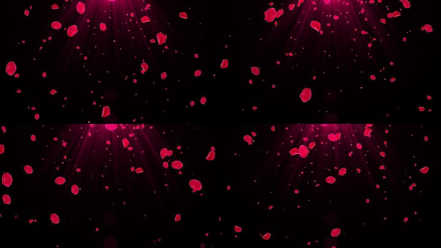 4K红色花朵粒子飘落视频-循环