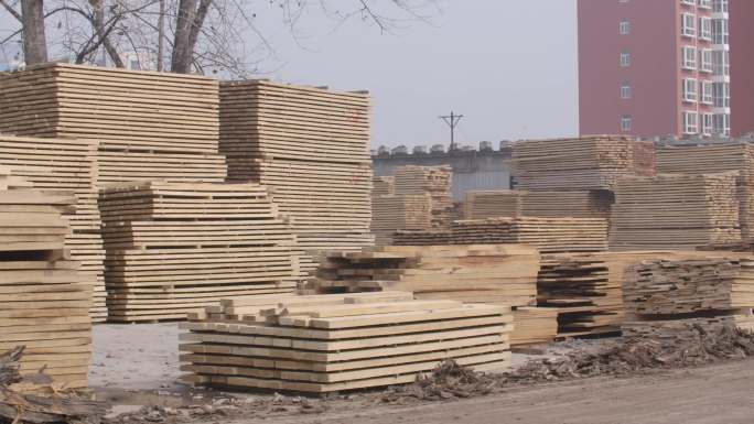 伐木场木材加工厂