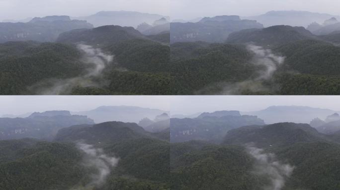 重庆南川区金佛山