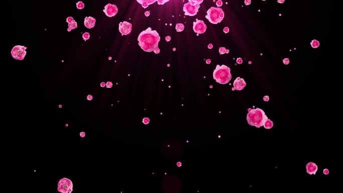 4K粉红花朵粒子飘落视频-循环