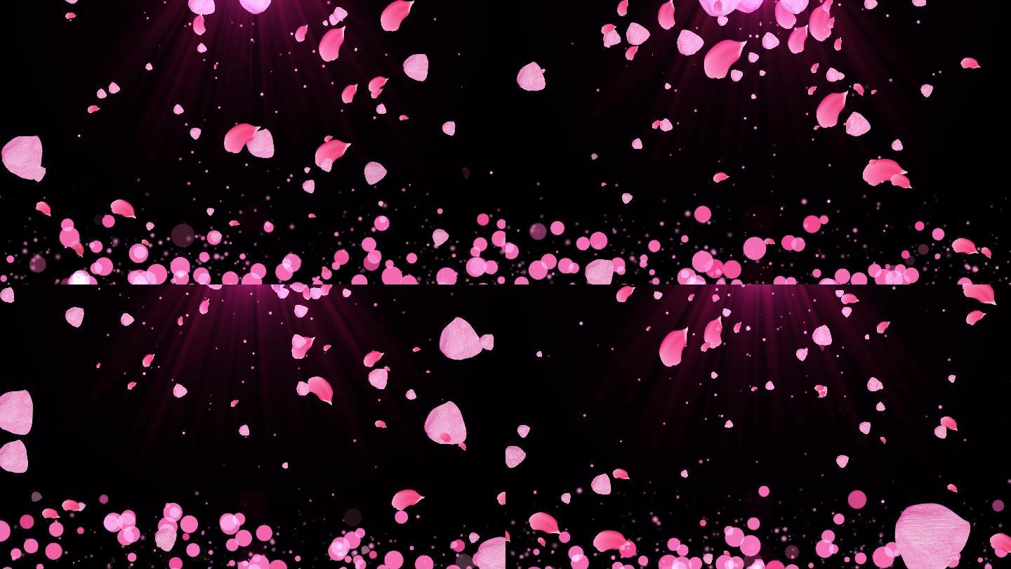 4K粉红瓣粒子飘落视频-循环 2