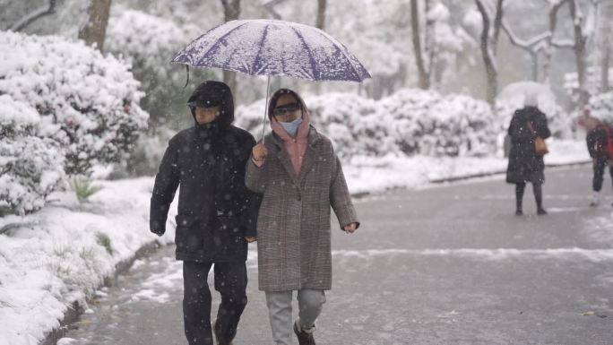 下大雪公园休闲散步赏雪