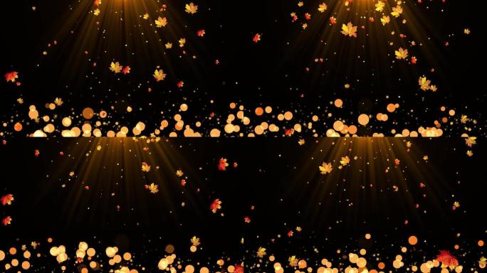 4K枫叶粒子飘落视频-循环 2