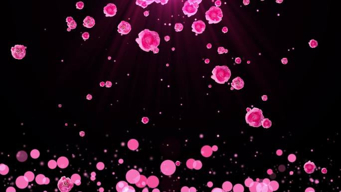 4K粉红花朵粒子飘落视频-循环 2