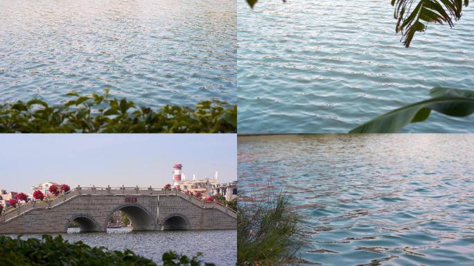 拱桥湖水波光粼粼岸边叶影摇曳
