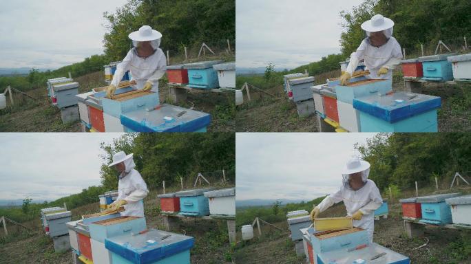 养蜂蜂农蜂箱