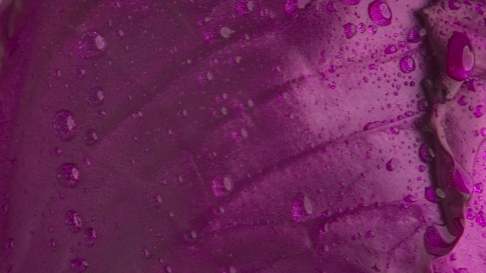 紫甘南蔬菜慢动作入水农业食材创意拍摄