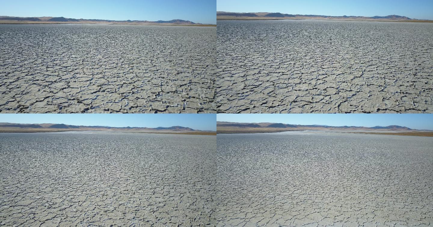 干裂湖床天线土地生长干旱干枯干涸