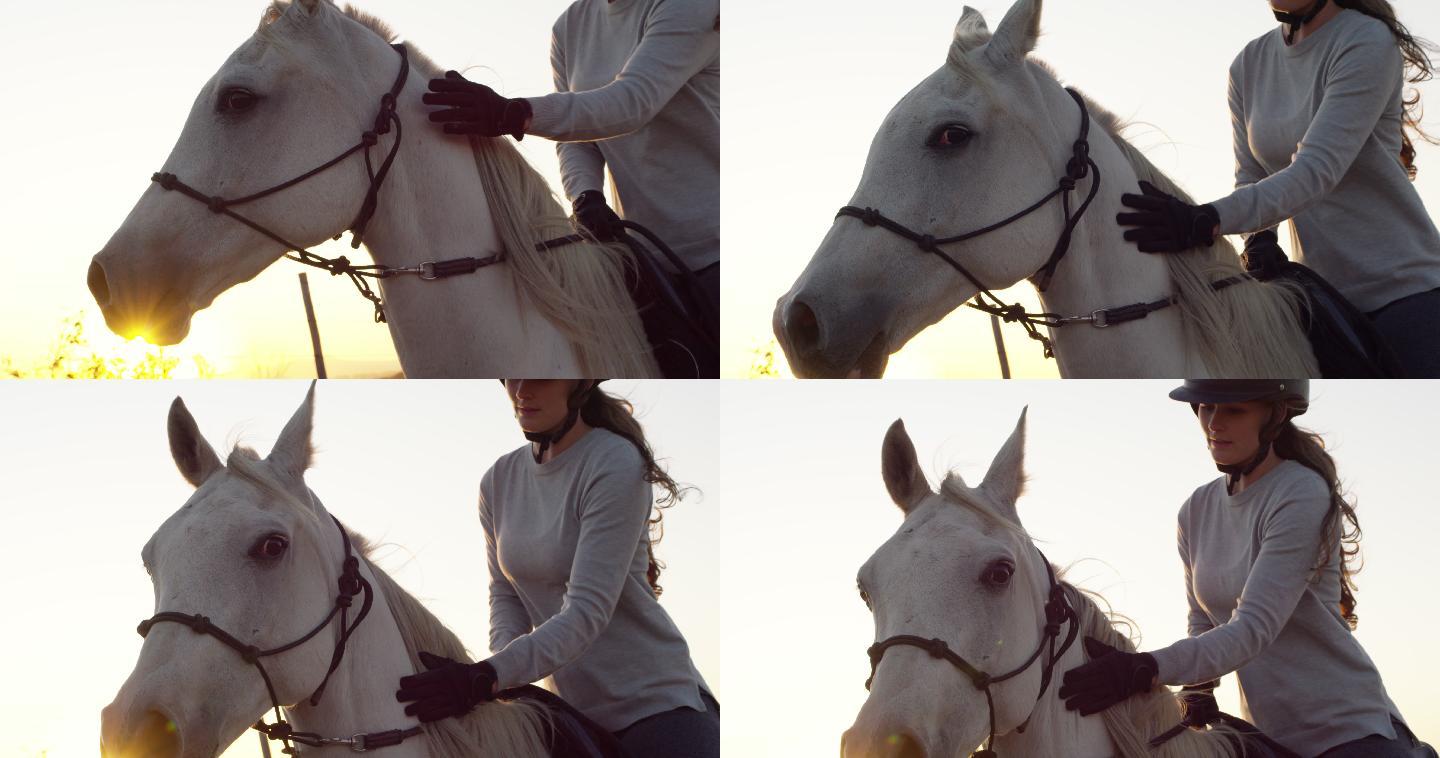一名年轻女子在牧场骑马