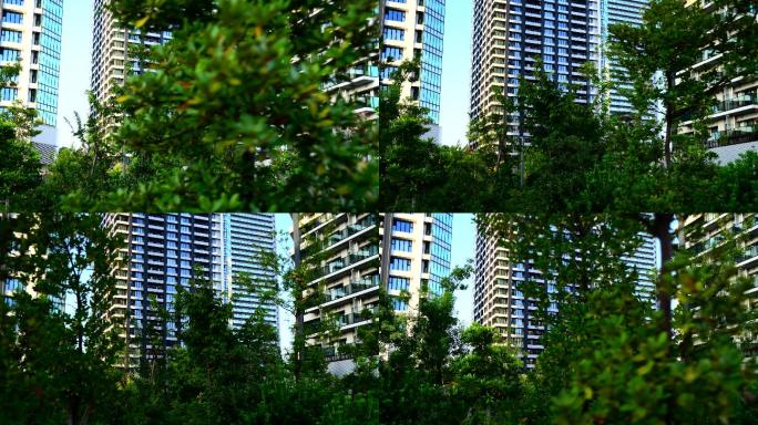 绿树成荫的现代建筑