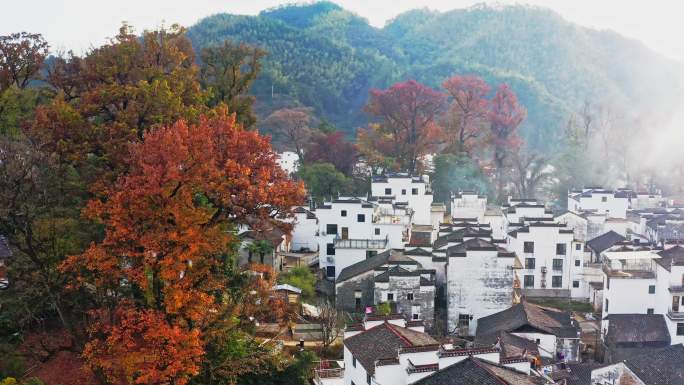 航拍婺源最美秋色石城红枫景区