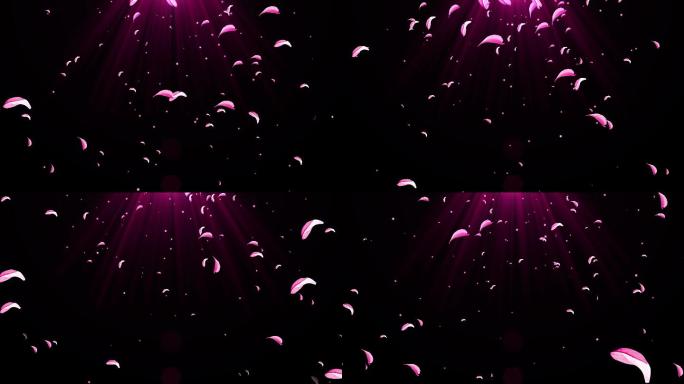 4K桃花瓣粒子飘落视频-循环