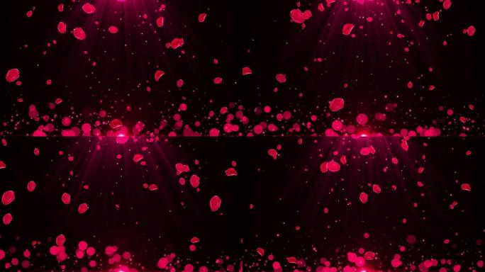 4K红色花朵粒子飘落视频-循环2