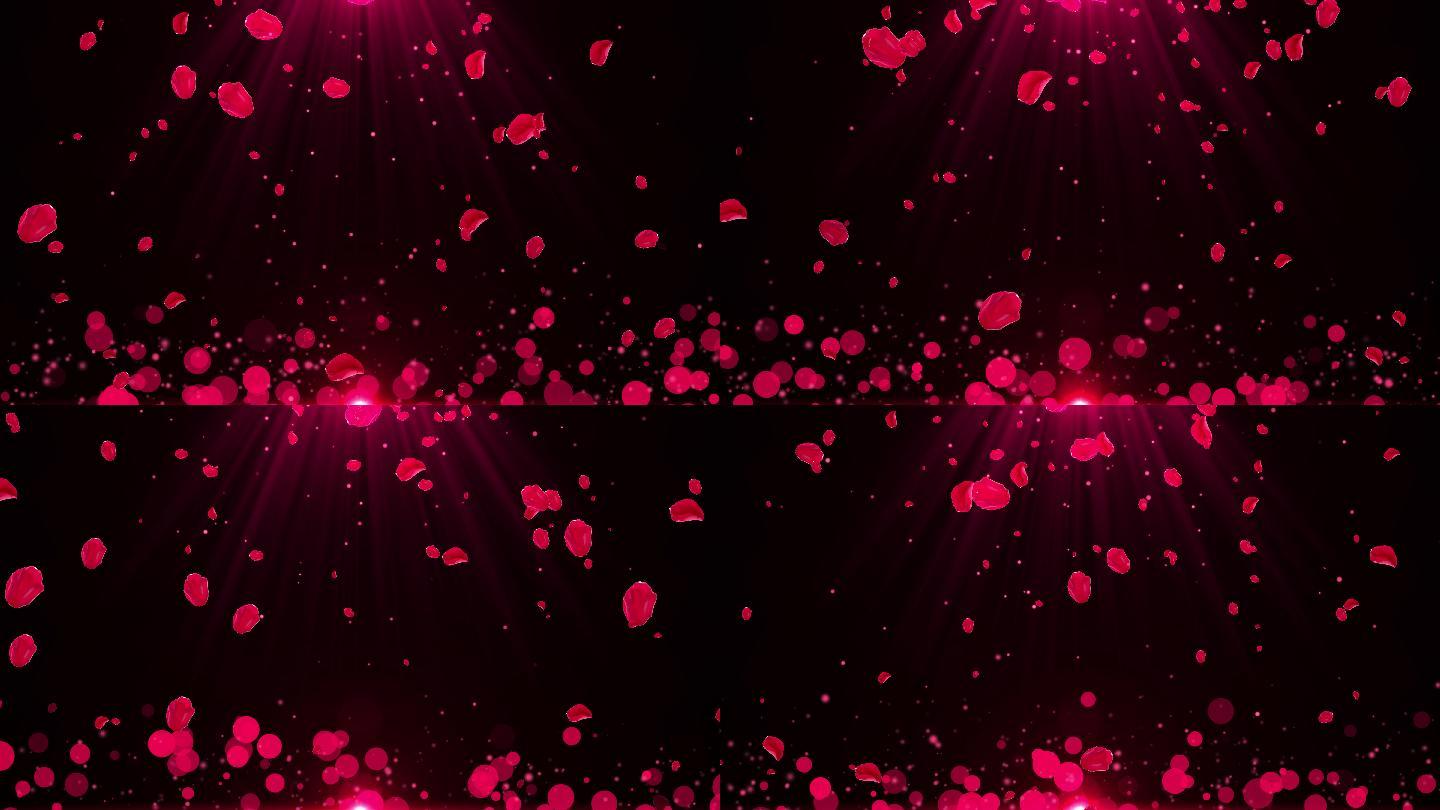 4K红色花朵粒子飘落视频-循环2