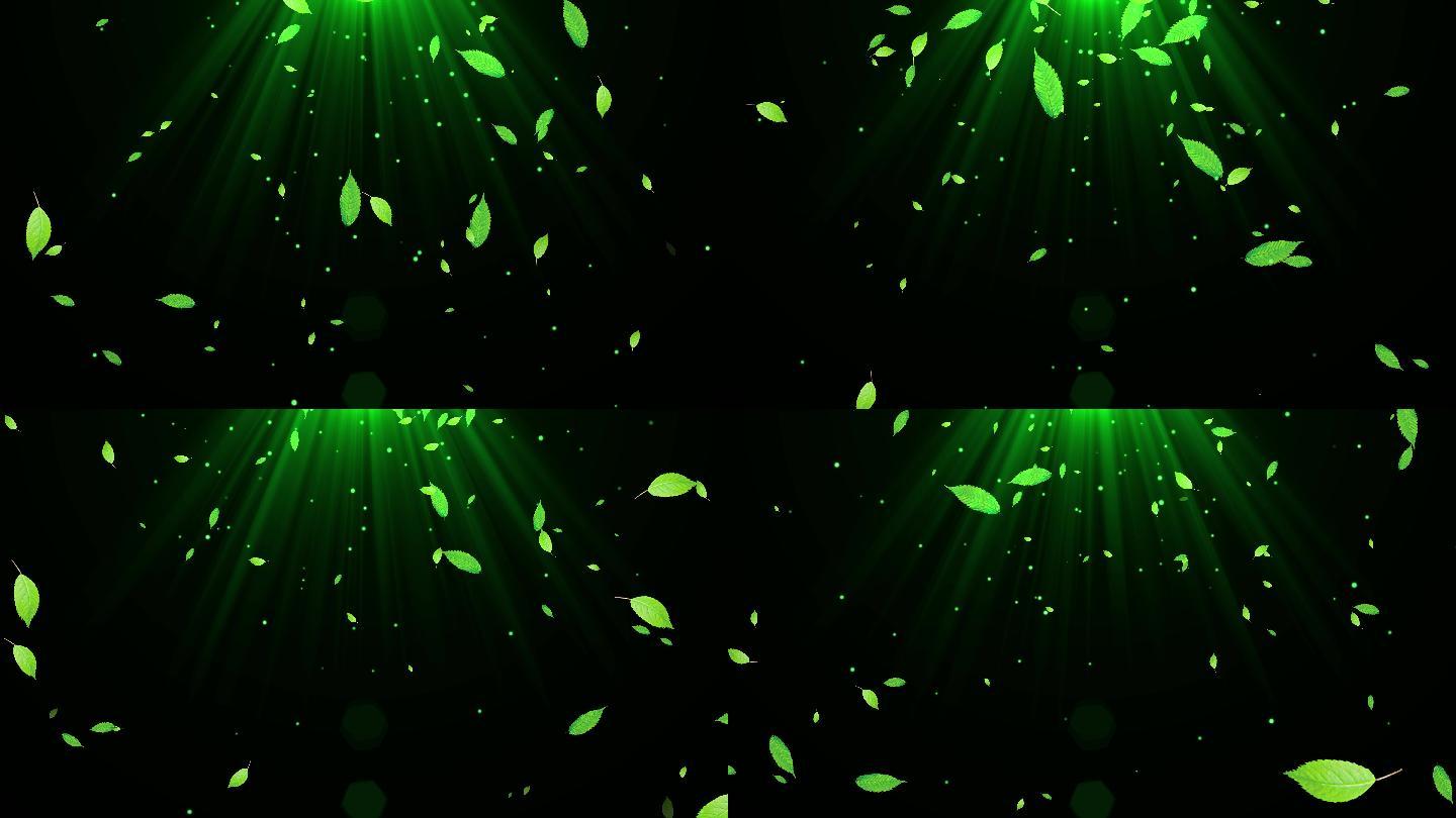 4K绿叶粒子飘落视频-循环3