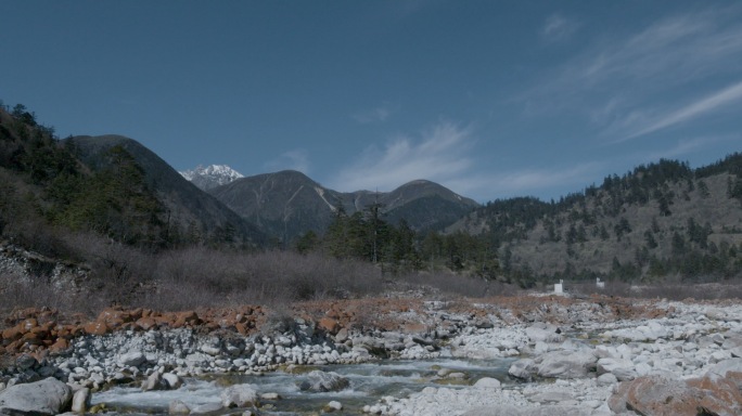 森林雪山流水各种实拍4K