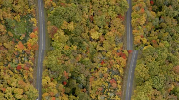 秋天的蓝岭公园路阿巴拉契亚山脉自然之美生