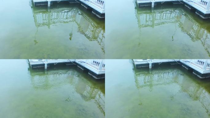 波光水中倒影湖面湖水4K高清原创摄影
