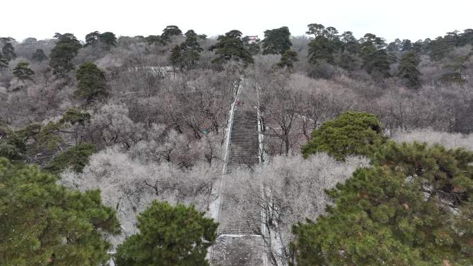 冬季 森林 雪景 古建筑 东陵