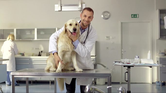 友好的兽医宠物店医生狂犬疫苗