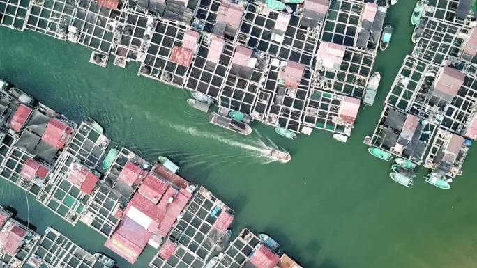 海南陵水南湾猴岛疍家渔排海鲜航拍