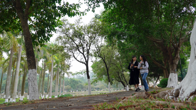 大学时光 校园 欢快 自由 上学的路上